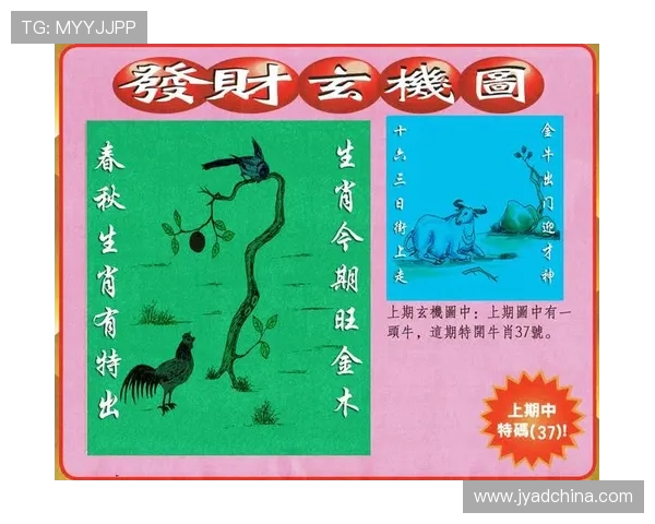 澳门彩集团娱乐平台详细介绍游戏种类与玩法技巧帮助新手快速上手赢得胜利
